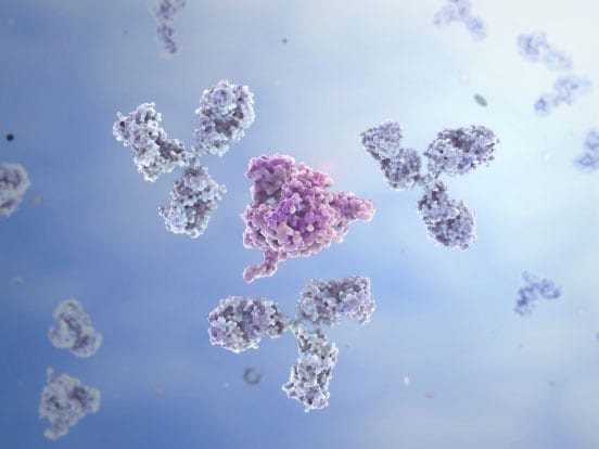 Antibodies surrounding an antigen