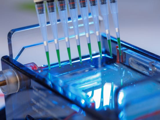 Loading an agarose gel for electrophoresis