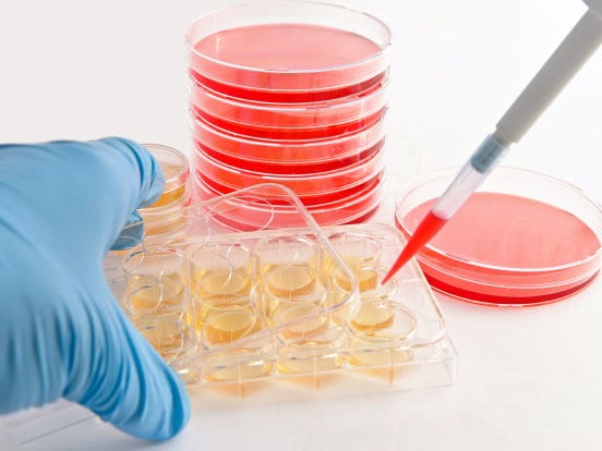 Cell Cuture Kits for your Cell Culture needs