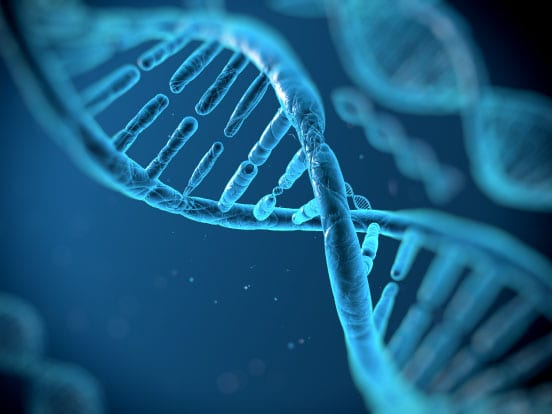 genomic_DNA_from_tissues