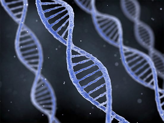 cDNA clones & ORFs from AMS Bio's cDNA library