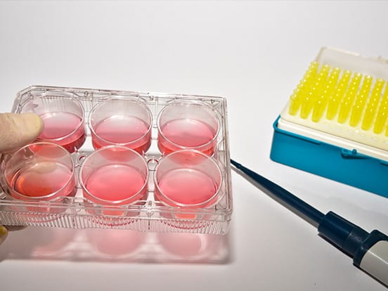 Cell Cuture Reagents and Media from AMS Bio