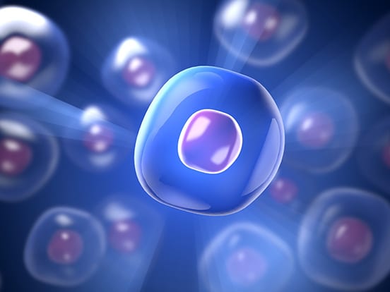 stemcell kits Stem Cell Kits offered by AMS Bio