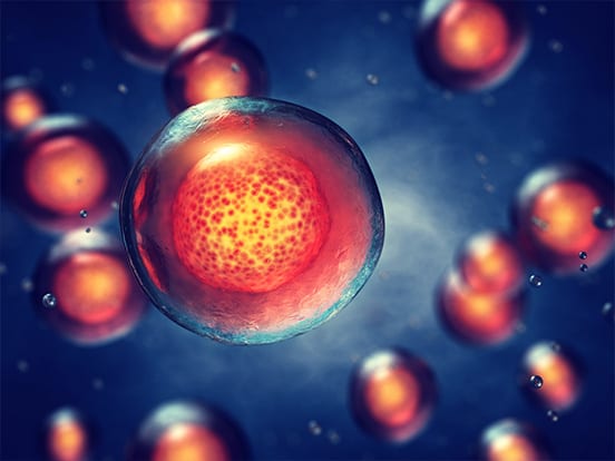 stemcells