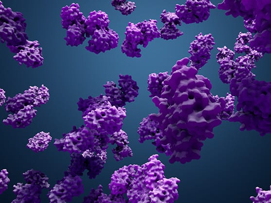 High-Quality Recombinant Proteins offered by AMS Biotechnology