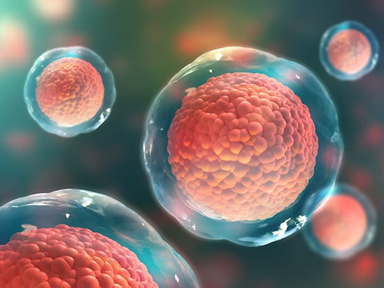 Cell Based Assay Development