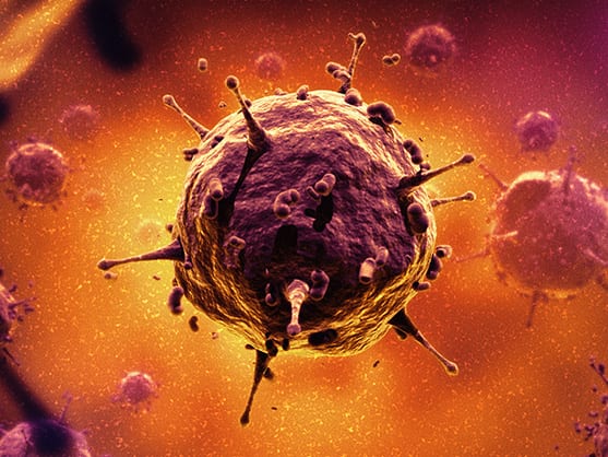 Lentivirus adenovirus & AAV Custom Lentivirus, Adenovirus, AAV Production Service offered by AMS Bio