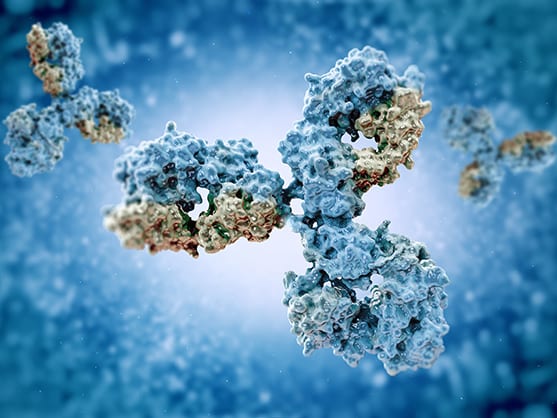 Monoclonal antibody keratan sulfate monoclonal antibody