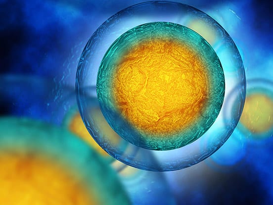 Cell Line Lysates offered by AMS Biotechnology