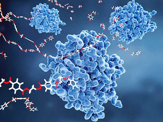 specialized enzymes. Chondroitinase, heparinase, hyaluronidase, keratanase, and endo- and exo-glycosidases are among of our glycosaminoglycan (GAG) degrading enzymes.