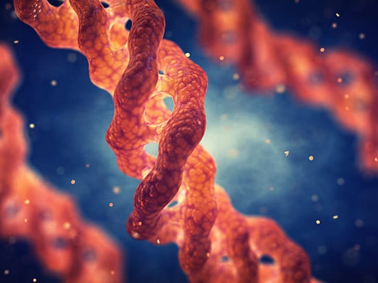 Protein Purification of Natural Proteins