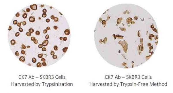 Cancerseq image 3 edited