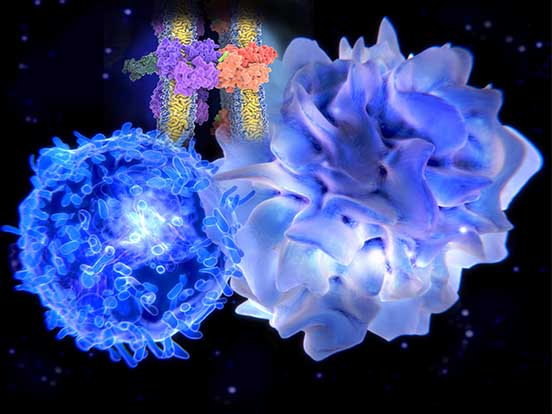 KIR featured image 2