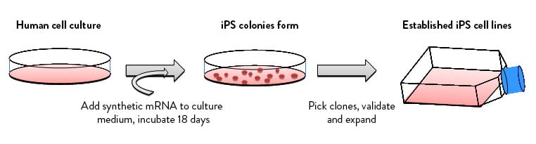 protocol