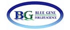 bluegene