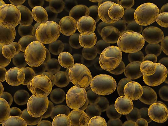 Zymolyase featured image