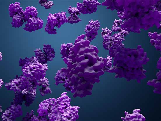 Biotinylated proteins featured image