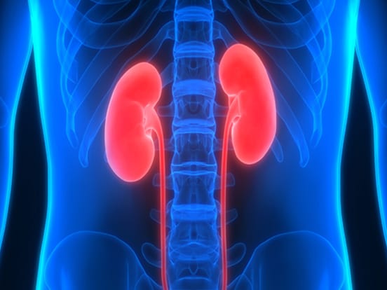 feature-kidney-damage
