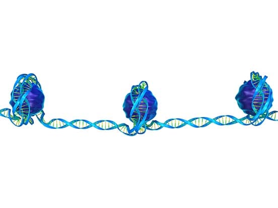 histone_acetylation_feature