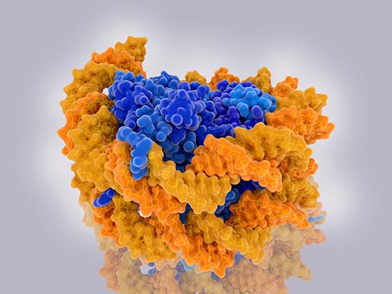 histone_methylation_feature