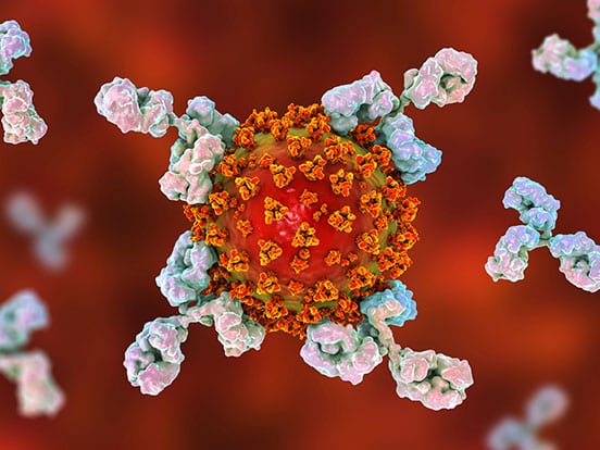 antigens-antibodies-sars-cov-2-feature