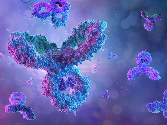 varieties of keratan sulfate (KS) monoclonal antibodies that are tested for use in ELISA, Immunofluorescence, Immunohistochemistry, Radioimmunoassay, and Western Blotting assays are available