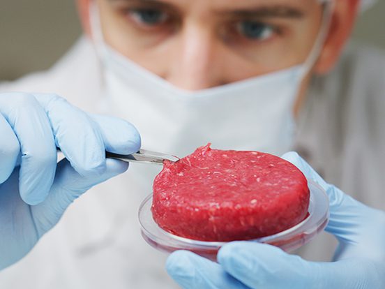 cultured meat