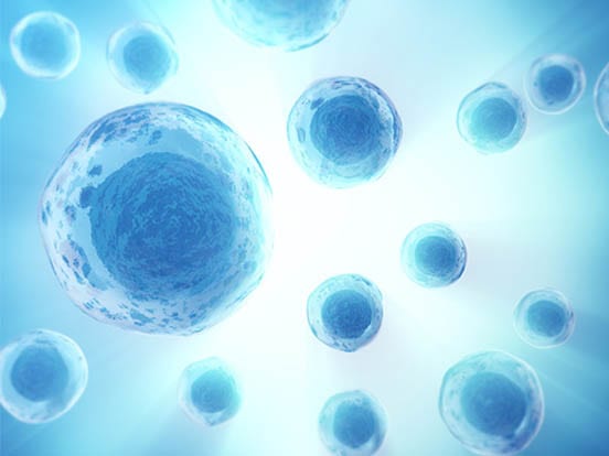 FFPE-Cell-Line-Controls