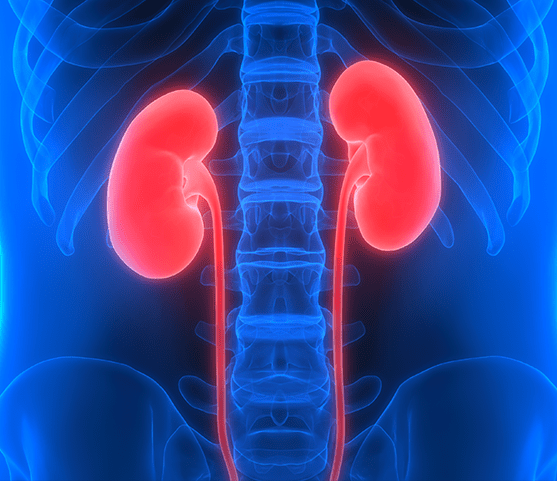 metabolic biomarker kidney