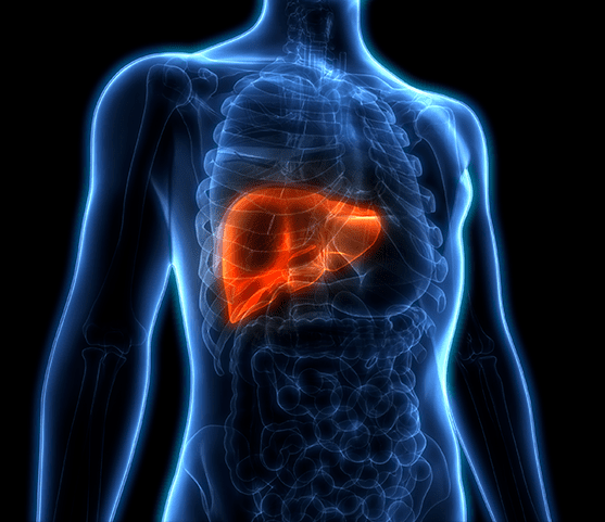 metabolic biomarker liver