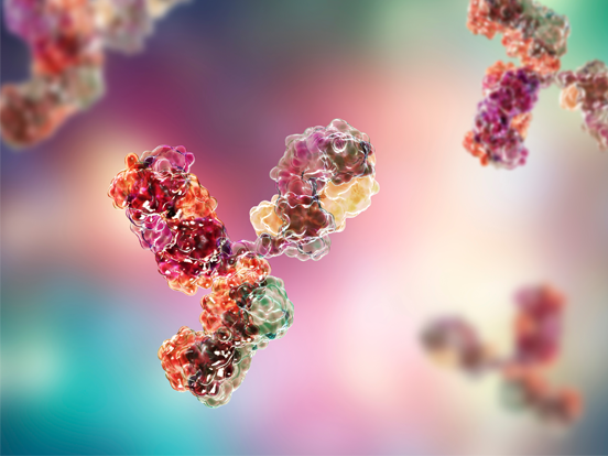 Antibodies