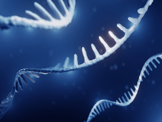 stable rna featured image stable rna featured image