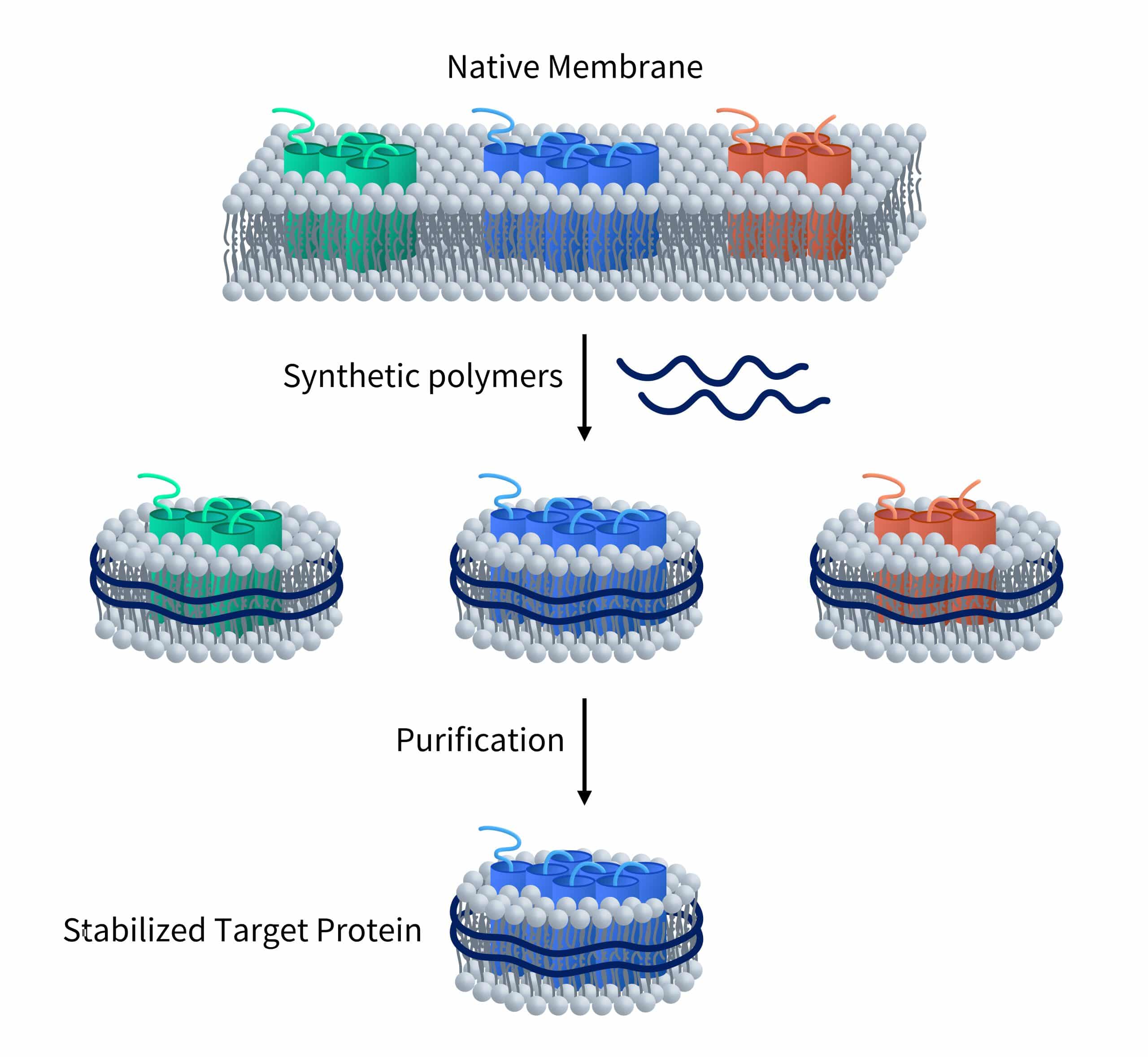 Nanodisc-high-resolution-image1