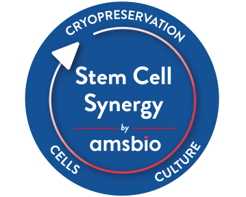 Stem Cell Synergy by AMSBIO logo