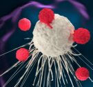 3d,Illustration,Of,T,Cells,Attacking,A,Cancer,Cell,(car-t